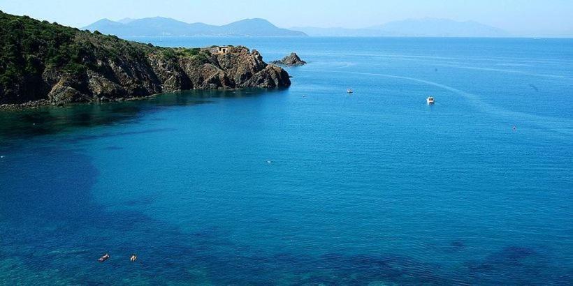 Il Balcone Sull'Elba Daire Piombino Dış mekan fotoğraf