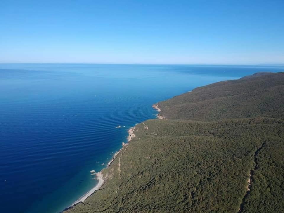 Il Balcone Sull'Elba Daire Piombino Dış mekan fotoğraf