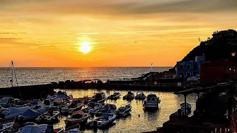 Il Balcone Sull'Elba Daire Piombino Dış mekan fotoğraf