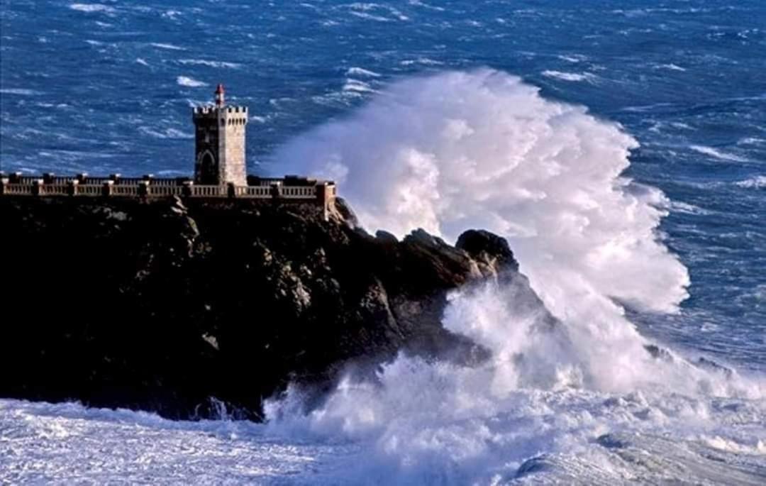 Il Balcone Sull'Elba Daire Piombino Dış mekan fotoğraf