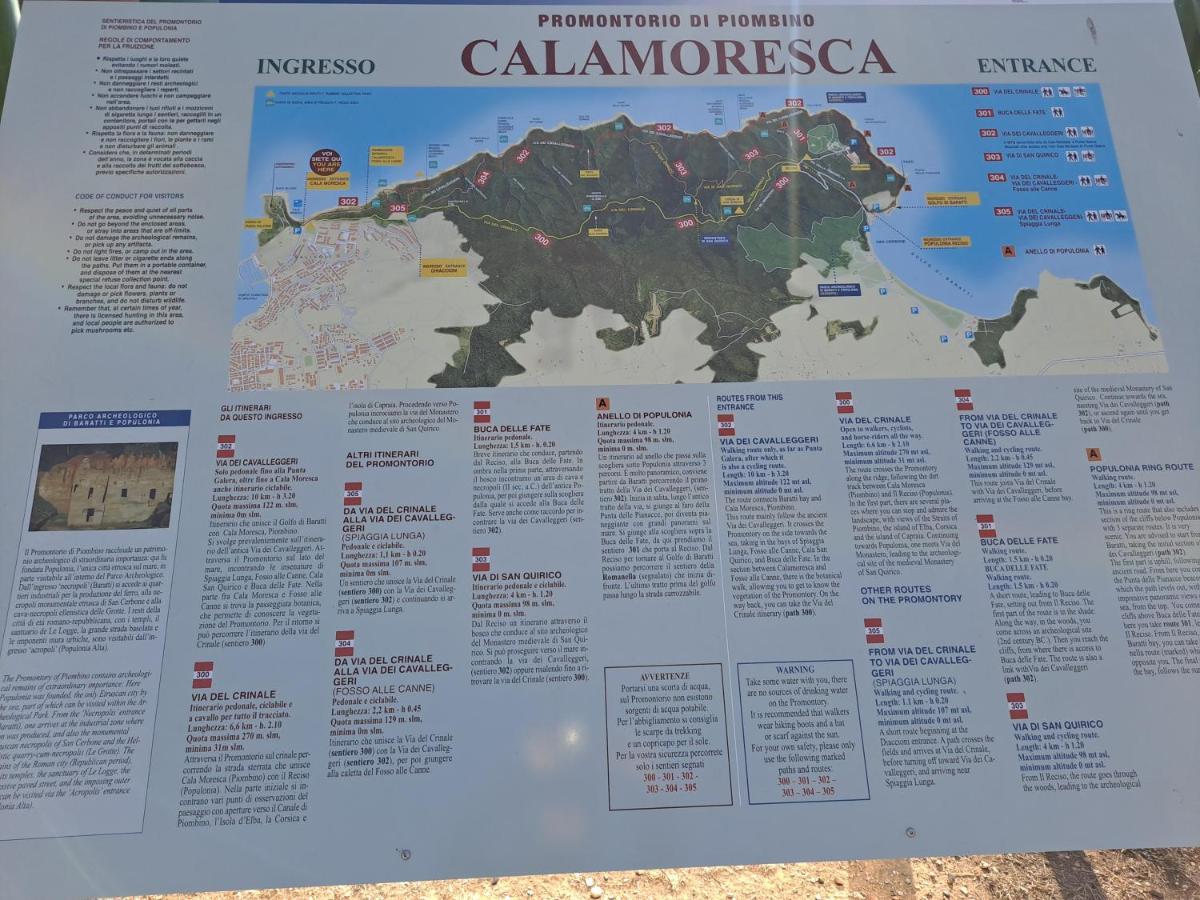 Il Balcone Sull'Elba Daire Piombino Dış mekan fotoğraf
